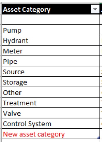 Excel screenshot of Asset Category column with new asset titled "New asset category" in the bottom cell.
