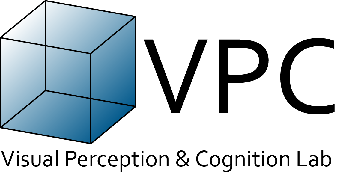 VPC Visual Perception and Cognition Lab